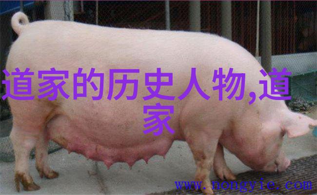歷世真仙體道通鑑卷之八
