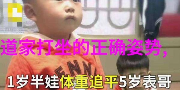 陈楠与神霄派