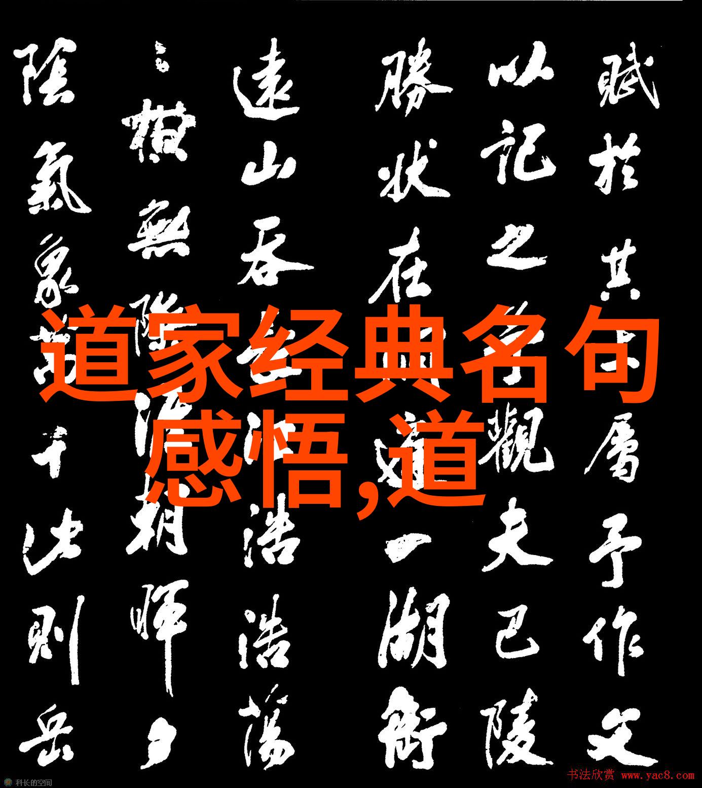 道教对待其他宗教的态度