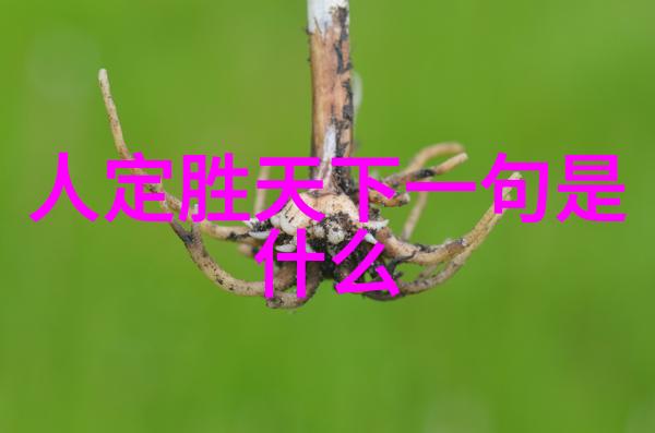 西北大学专家学者一行到宝鸡磻溪宫进行道文化思想交流