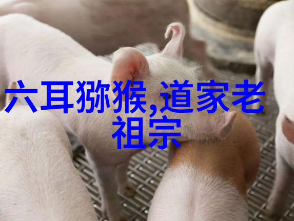 天地人和话养生_道教文化 -天然道观